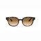 Óculos de Sol 0RB3556N-OCTAGONAL Gradiente | Ray-ban Brasil - Marca Ray-Ban
