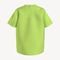 Camiseta Tommy Hilfiger Sólida Verde - Marca Tommy Hilfiger