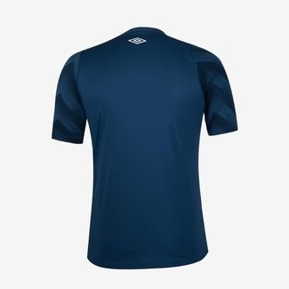 Camisa Masculina Umbro Goleiro Santos Oficial 2024 Incolor