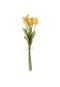 Buquê Venus Victrix Tulipa Amarelo - Marca Venus Victrix