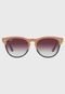 De Sol Ray-Ban Iris Rosa - Marca Ray-Ban