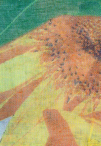 Lenço Desigual Girasoles Multicolorido