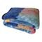 Cobertor Casal Microfibra Jolitex Dyuri Plus Amazonas Azul - Marca Jolitex