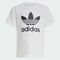 Adidas Conjunto Infantil Camiseta Shorts Adicolor - Marca adidas