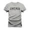 Camiseta Plus Size Algodão Premium Estampada Chicago USA - Cinza - Marca Nexstar