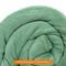 Cobertor Casal Manta Microfibra Antialérgico 1,8x2,2m Verde - Camesa - Marca Camesa