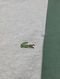 Bermuda Lacoste Masculina Moletom Fleece Colourblock Jogger Cinza Mescla - Marca Lacoste