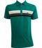 Camisa Polo Verde | Pau a Pique - Marca Pau a Pique