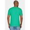 Camiseta Aramis Regular Com Estampa Monstera Cacto  - M - Marca Aramis