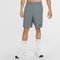 Shorts Nike Flex Cinza - Marca Nike