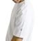 Camiseta Volcom Solid Stone SM24 Masculina Branco - Marca Volcom