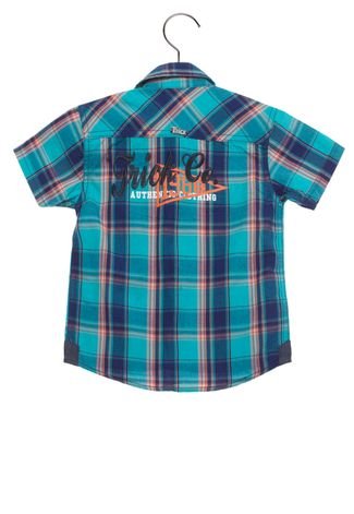 Camisa Xadrez Verde - Box Critters Wiki (PT)