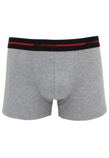 Cueca Ellus Boxer Lettering Cinza - Marca Ellus