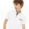 Polo Lacoste em Petit Pique Branco - Marca Lacoste