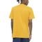 Camiseta DC Shoes Printed Patch Masculina Amarelo - Marca DC Shoes