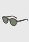 Óculos De Sol Colcci Nick Demi F3971 Marrom - Marca Colcci
