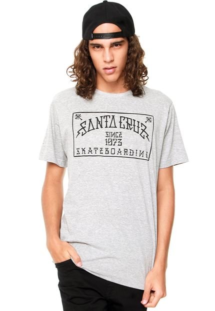 Camiseta Santa Cruz Box Culter Cinza - Marca Santa Cruz