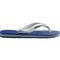 Chinelo Havaianas Brasil Logo Adulto Masculino Azul - Marca Havaianas