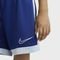 Shorts Nike Dri-FIT Academy Azul - Marca Nike