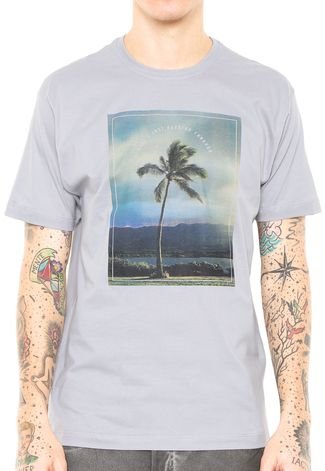 Camiseta Reef Carve Cinza