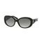 Óculos de Sol Ralph Lauren RL8118Q Preto - Marca Polo Ralph Lauren