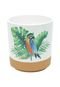 Vaso Cerâmica Parrot Colorido Md 12X13cm - Marca Urban