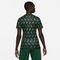 Camisa Nike Nigéria II 2023/24 Torcedora Pro Feminina - Marca Nike