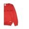 Conjunto Infantil Feminino Moletom Babado Vermelho 0058 - Laluna - Marca Laluna