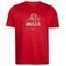 Camiseta New Era NBA Chicago Bulls Freestyle - Marca New Era