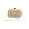 Bolsa Clutch Liage Festa Bordada Pedra Brilhante Strass Pedraria Perola Metal Nude Dourado - Marca Liage