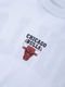 Camiseta New Era Regular Chicago Bulls Branco - Marca New Era