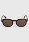 Óculos de Sol Vogue Tartaruga Marrom - Marca Vogue