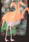 Camiseta Blunt Freak Flamingo Preta - Marca Blunt