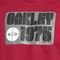Camiseta Oakley 1975 WT23 Rhone - Marca Oakley
