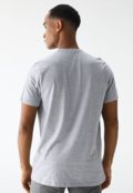 Camiseta Aeropostale Reta Estampada Cinza - Marca Aeropostale