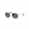 Óculos de Sol Ray-Ban RJ9541SN Dourado Júnior - Marca Ray-Ban