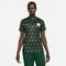 Camisa Nike Nigéria II 2023/24 Torcedora Pro Feminina - Marca Nike