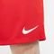 Shorts Nike Dri-FIT Uniformes Masculino - Marca Nike