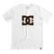 Camiseta DC Shoes DC Star Fill Fire WT23 Masculina Branco - Marca DC Shoes