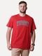 Camiseta Tommy Jeans Masculina Regular Collegiate Arc Vermelha - Marca Tommy Jeans
