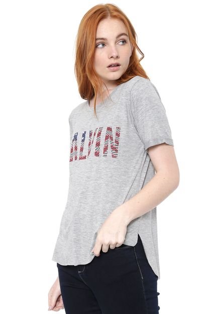 Camiseta Calvin Klein Jeans Bandeira Cinza - Marca Calvin Klein Jeans