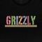 Camiseta Grizzly Light It Up SM23 Masculina Preto - Marca Grizzly