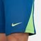 Shorts Nike Brasil Treino Dri-FIT Academy Pro Masculino - Marca Nike