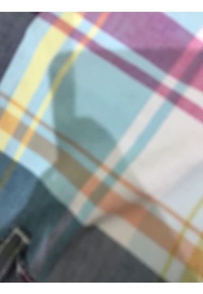 Ropa aussie best sale chile
