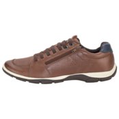 Sapatênis Masculino Ferricelli Zr42575 9894575 Café - Marca Ferricelli