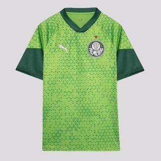 Camisa Puma Palmeiras Treino 2024 Verde