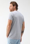 Camiseta Aeropostale Reta Estampada Cinza - Marca Aeropostale