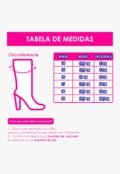 Bota Texana Bico Fino Feminina Country Metalizada Com strass Western Prata - Marca TAKATA BY RAFAEL TAKATA