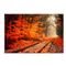 Tela Decorativa em Canvas Wevans Outono 90x60xmMulticolorido - Marca Wevans