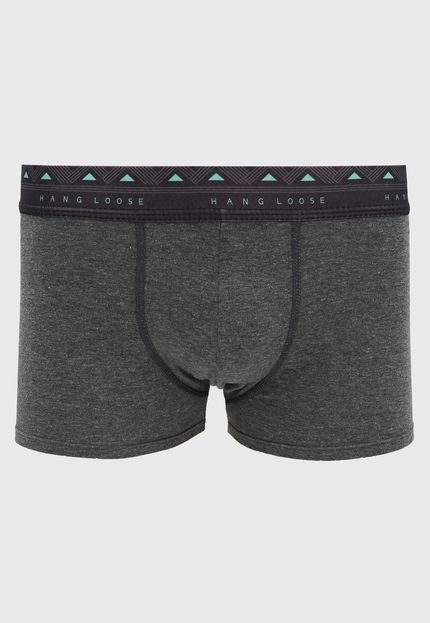 Cueca Hang Loose Boxer Logo Grafite - Marca Hang Loose